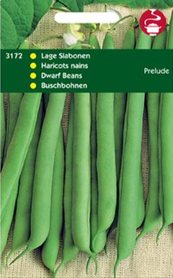 Buschbohne Prelude (Phaseolus) 300 Samen HT